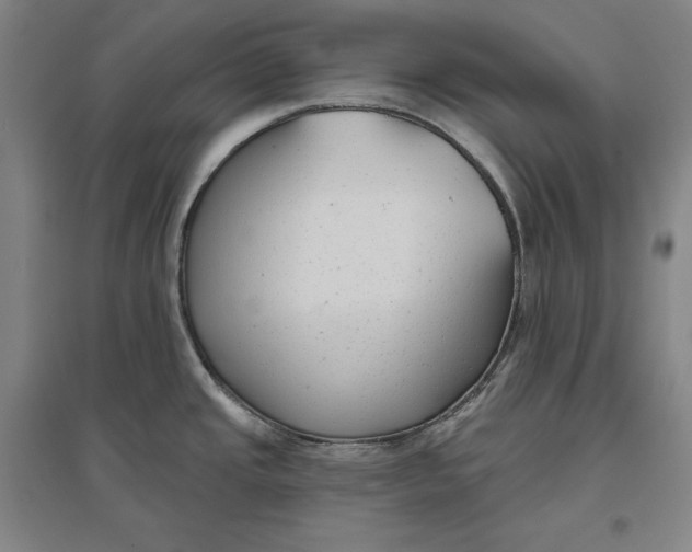 X0000096631437200802261154