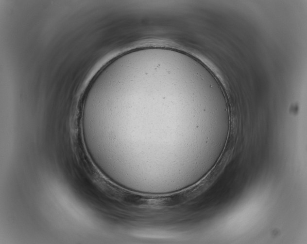 X0000096631438200802261154