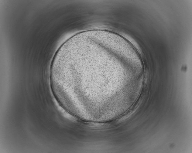 X0000096631439200802261154
