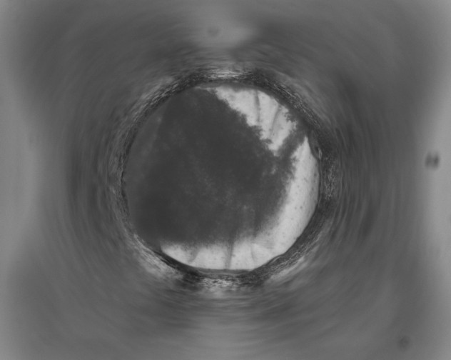 X0000096631441200802261153