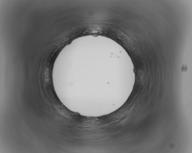 X0000096631442200802261153