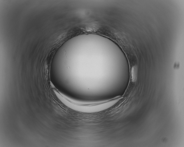 X0000096631443200802261153