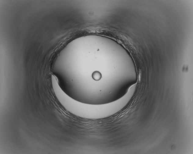 X0000096631444200802261153