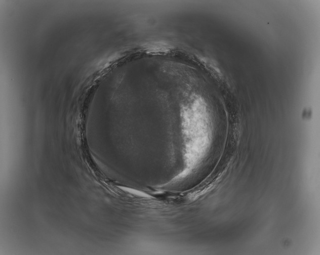 X0000096631445200802261153