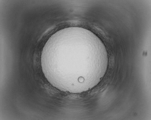 X0000096631446200802261153