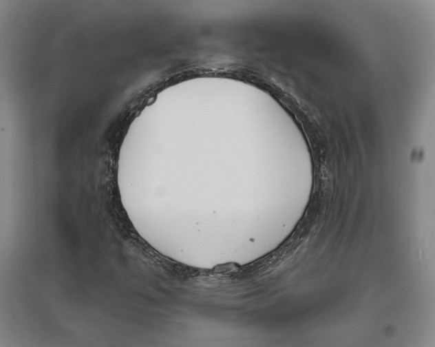 X0000096631447200802261153
