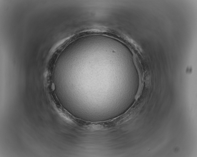 X0000096631448200802261153