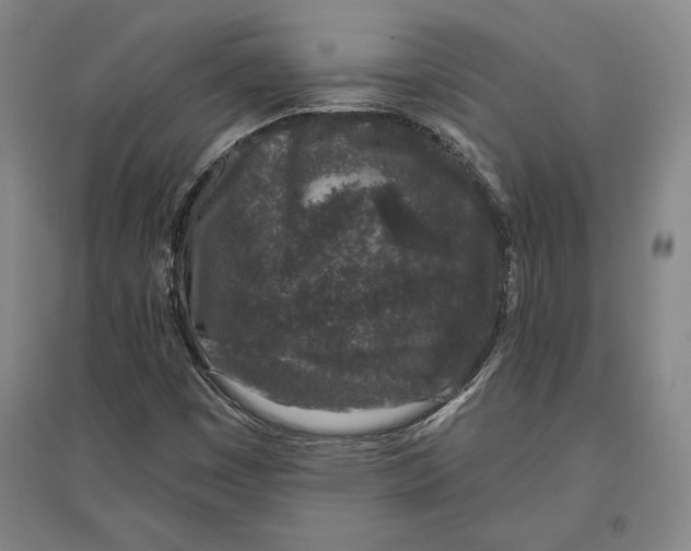 X0000096631449200802261153