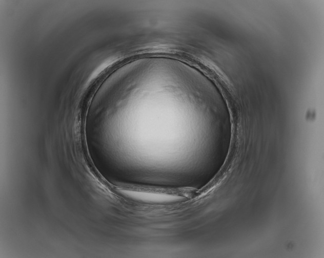 X0000096631450200802261153