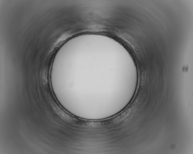 X0000096631451200802261153