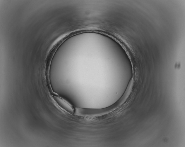 X0000096631452200802261153