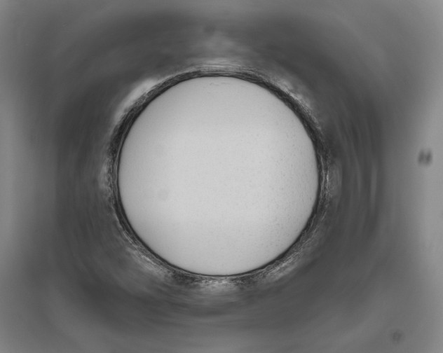 X0000096631454200802261153