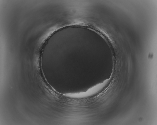 X0000096631455200802261153