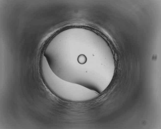 X0000096631456200802261153