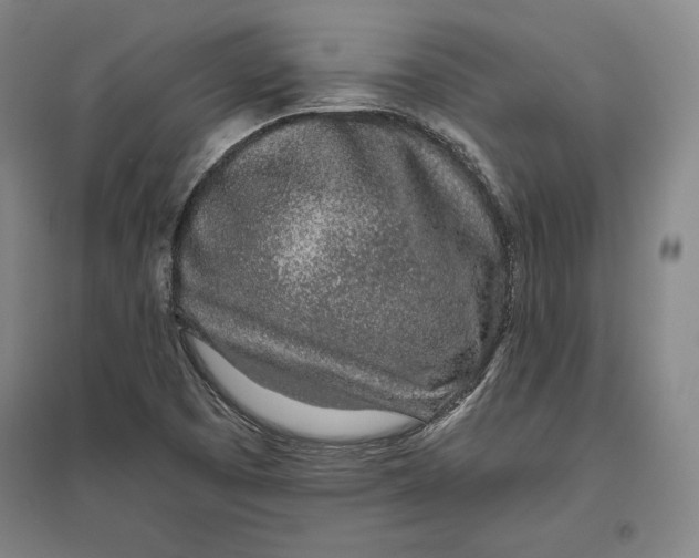 X0000096631457200802261153