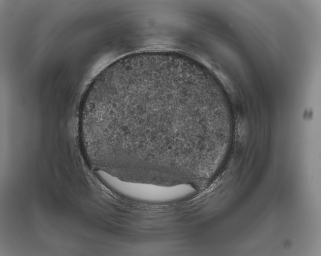 X0000096631459200802261153