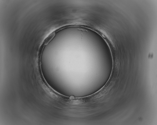 X0000096631460200802261153
