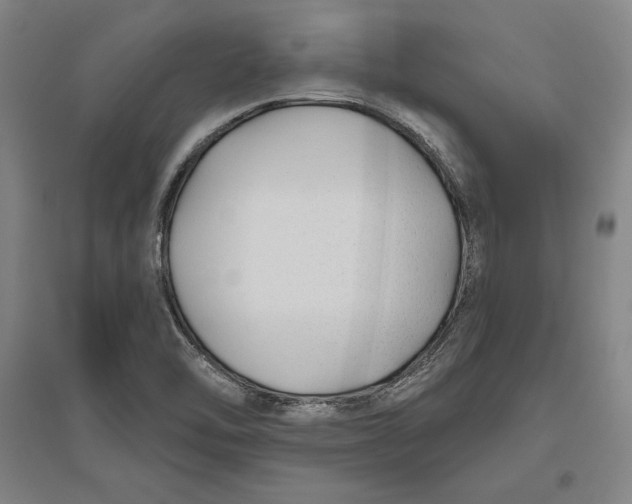 X0000096631462200802261153