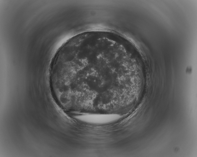 X0000096631463200802261153