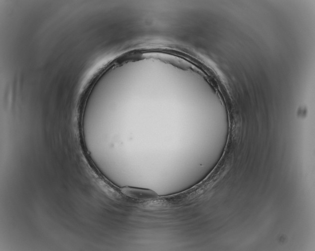 X0000096631464200802261153