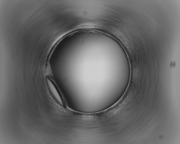 X0000096631465200802261153