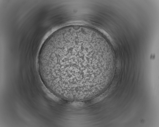 X0000096631466200802261153