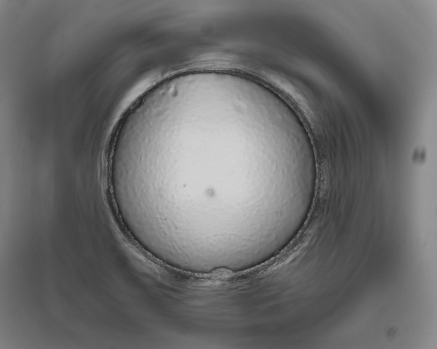 X0000096631467200802261153