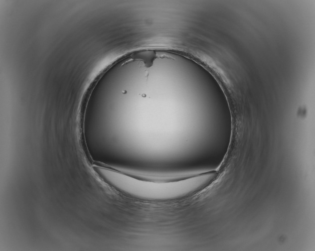 X0000096631469200802261153