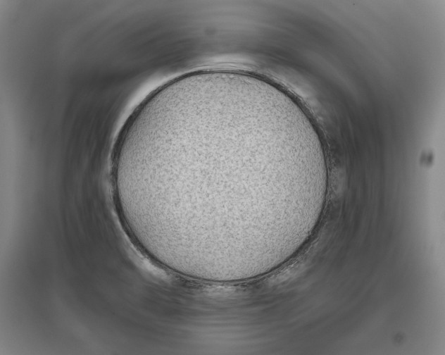 X0000096631470200802261153