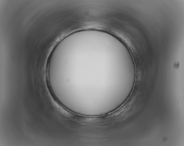 X0000096631471200802261153