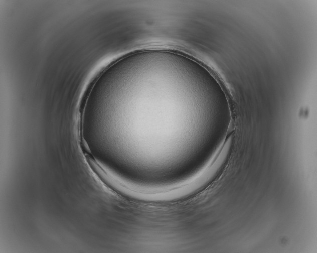 X0000096631472200802261153