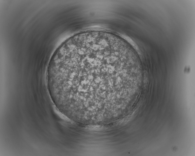 X0000096631474200802261153