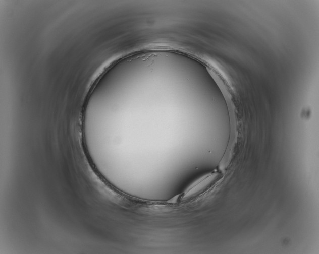 X0000096631476200802261153
