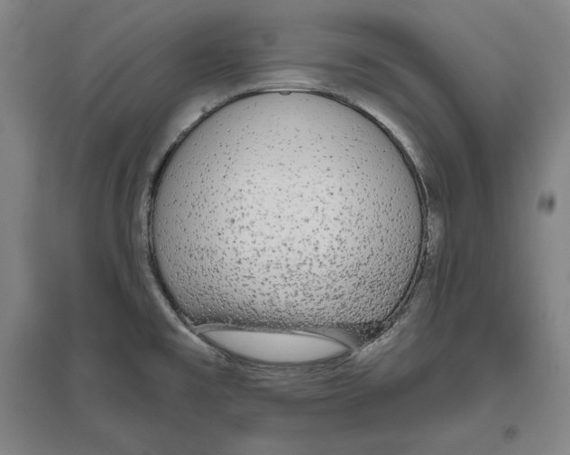 X0000096631477200802261153