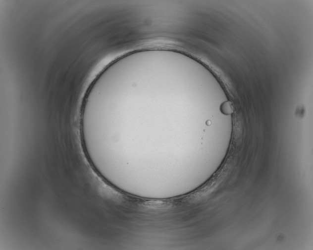 X0000096631478200802261153