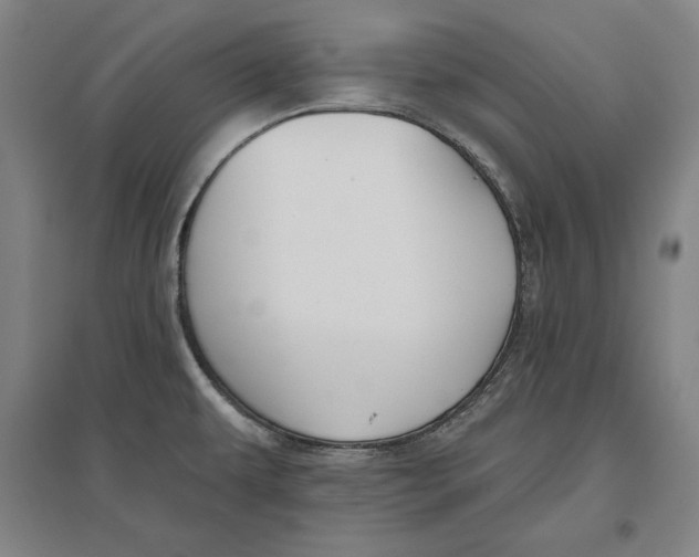 X0000096631479200802261153