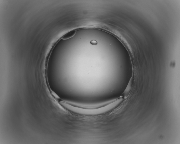 X0000096631480200802261153