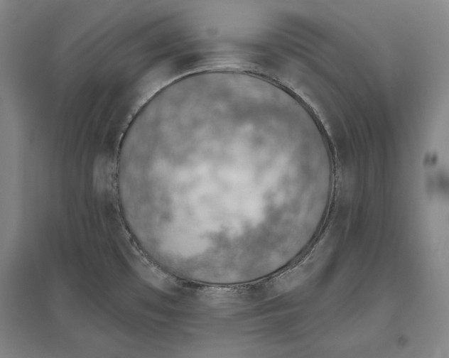 X0000096631481200802261153