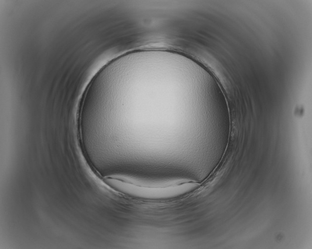 X0000096631483200802261153