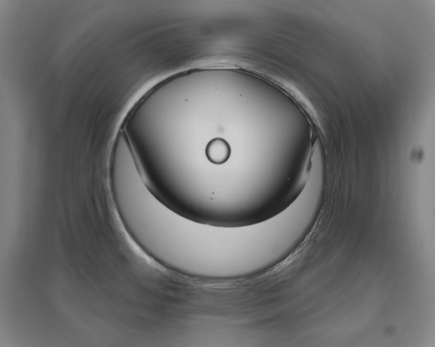 X0000096631484200802261153