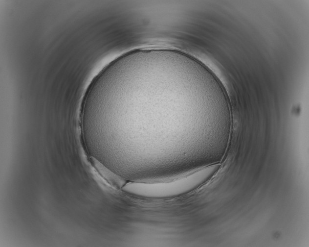 X0000096631485200802261153