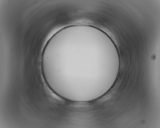 X0000096631486200802261153