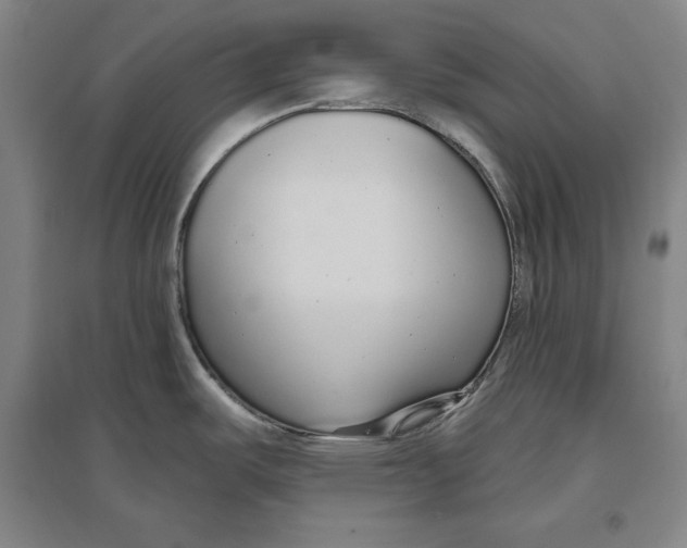 X0000096631487200802261153