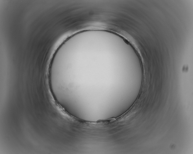 X0000096631488200802261153