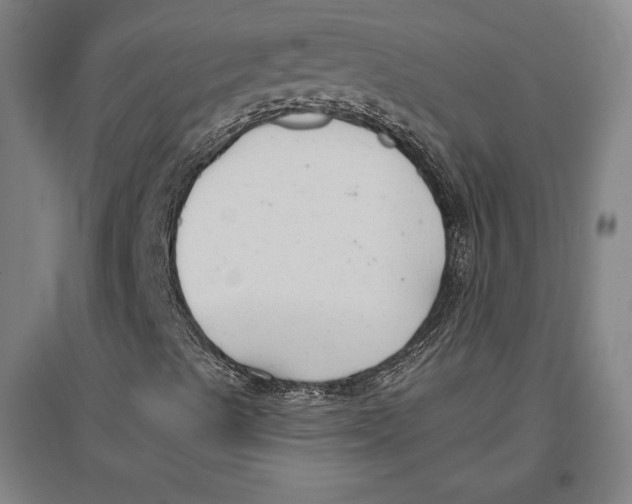 X0000096631489200802261152