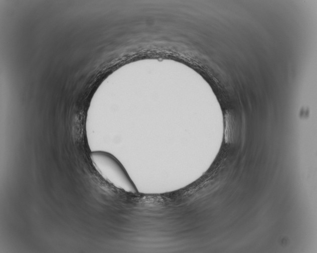 X0000096631491200802261152