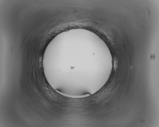 X0000096631492200802261152