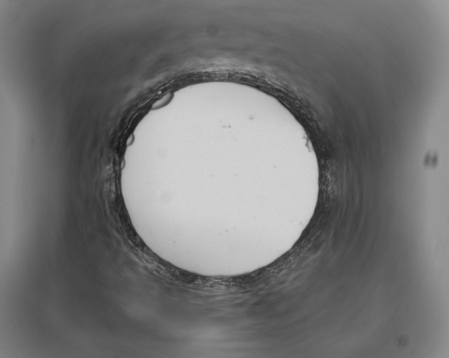 X0000096631493200802261152