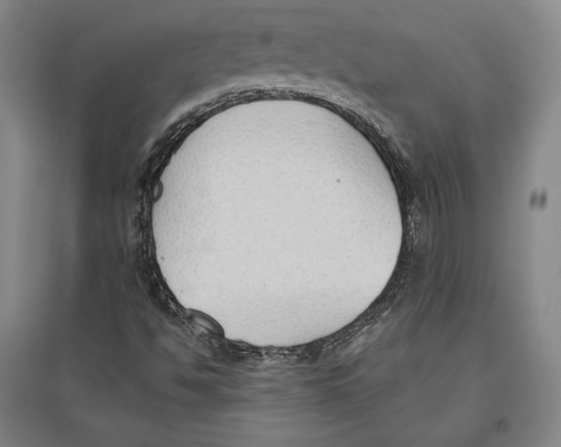 X0000096631494200802261152