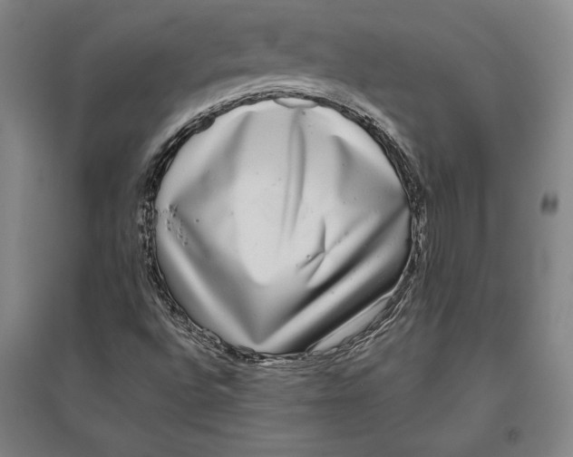 X0000096631496200802261152